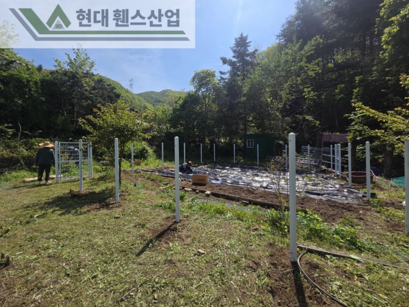 평택휀스 펜스 울타리 - 집 앞 작은 텃밭을 야생동물로부터 보호하기 위한 휀스 평택휀스 펜스 울타리 - 집 앞 작은 텃밭을 야생동물로부터 보호하기 위한 휀스