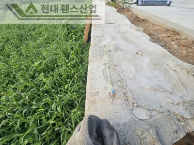 천안휀스 펜스 울타리 - 천안시 성거읍에 위치한 음식점 옥외 주차장에 경계용 메쉬휀스를 설치한 현장을 소개합니다. 천안휀스 펜스 울타리 - 천안시 성거읍에 위치한 음식점 옥외 주차장에 경계용 메쉬휀스를 설치한 현장을 소개합니다.