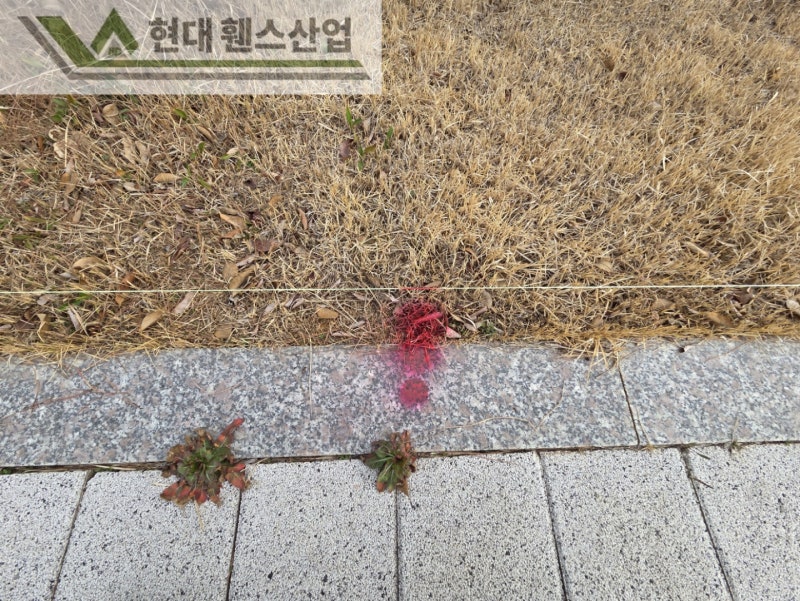 제천휀스 펜스 울타리 - 제천군 세무서 경계에 베이직C형휀스를 시공한 현장을 소개합니다.