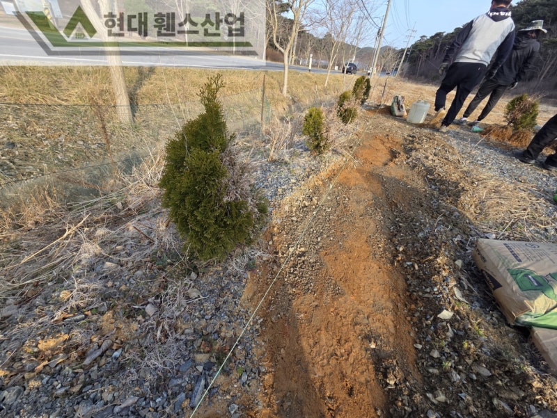강화도휀스 펜스 울타리 - 강화도에 위치한 개인 소유지 경계에 메쉬휀스를 시공한 현장을 소개합니다.