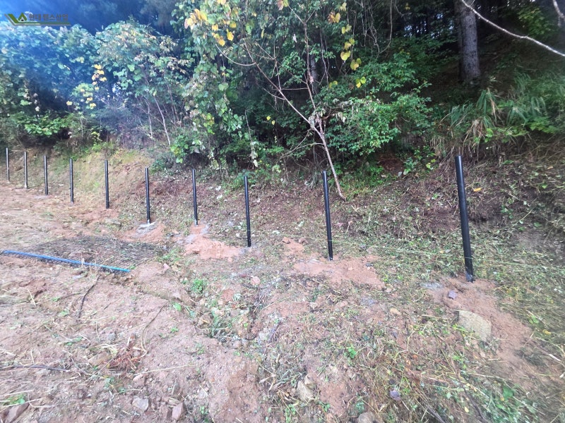 평택펜스 평택시 오성면 숙성리 애견 반려견 메쉬휀스 설치 평택펜스 평택시 오성면 숙성리 애견 반려견 메쉬휀스 설치