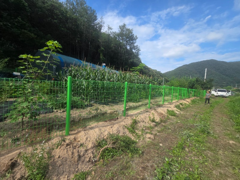 아산휀스 쌍문 대문 설치 메쉬휀스 토공용 영인산 인근 사유지 경계 펜스 시공 아산휀스 쌍문 대문 설치 메쉬휀스 토공용 영인산 인근 사유지 경계 펜스 시공