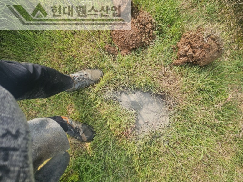 천안휀스 펜스 울타리 - 천안시 동남구에 위치한 작은 시골집 마당에 베이직 휀스를 시공한 현장을 소개합니다.