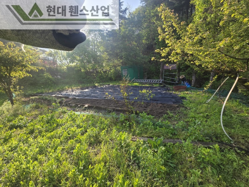 평택휀스 펜스 울타리 - 집 앞 작은 텃밭을 야생동물로부터 보호하기 위한 휀스 평택휀스 펜스 울타리 - 집 앞 작은 텃밭을 야생동물로부터 보호하기 위한 휀스