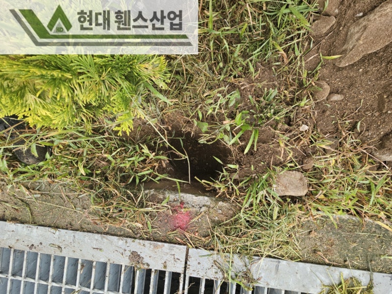 강화휀스 펜스 울타리 - 강화도에 위치한 전원주택 경계에 메쉬휀스를 시공한 현장을 소개합니다. 강화휀스 펜스 울타리 - 강화도에 위치한 전원주택 경계에 메쉬휀스를 시공한 현장을 소개합니다.