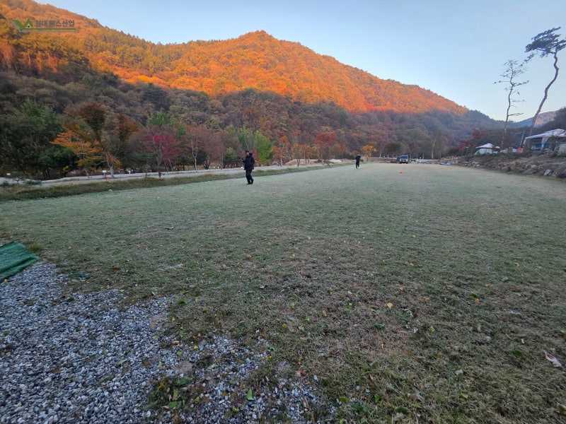 천안휀스 시공 반려견 놀이터용 메쉬휀스 애견펜스 설치 사례