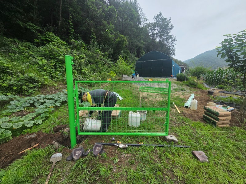 아산휀스 쌍문 대문 설치 메쉬휀스 토공용 영인산 인근 사유지 경계 펜스 시공 아산휀스 쌍문 대문 설치 메쉬휀스 토공용 영인산 인근 사유지 경계 펜스 시공