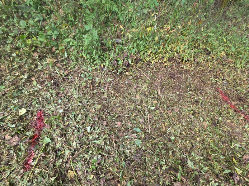 평택펜스 평택시 오성면 숙성리 애견 반려견 메쉬휀스 설치 평택펜스 평택시 오성면 숙성리 애견 반려견 메쉬휀스 설치