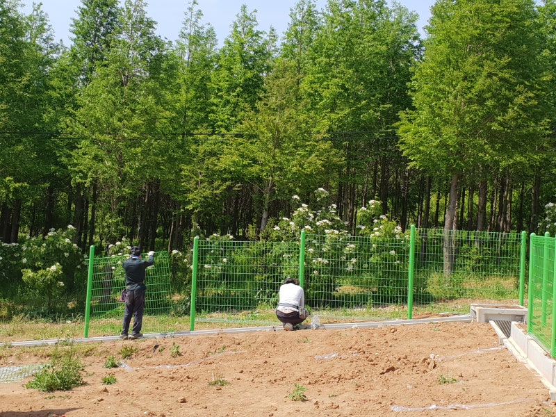 예산휀스ㅡ예산울타리 고덕면 상몽리 태양광휀스 시공 예산휀스ㅡ예산울타리 고덕면 상몽리 태양광휀스 시공