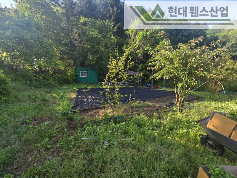 평택휀스 펜스 울타리 - 집 앞 작은 텃밭을 야생동물로부터 보호하기 위한 휀스 평택휀스 펜스 울타리 - 집 앞 작은 텃밭을 야생동물로부터 보호하기 위한 휀스