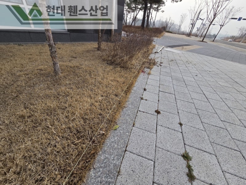 제천휀스 펜스 울타리 - 제천군 세무서 경계에 베이직C형휀스를 시공한 현장을 소개합니다.