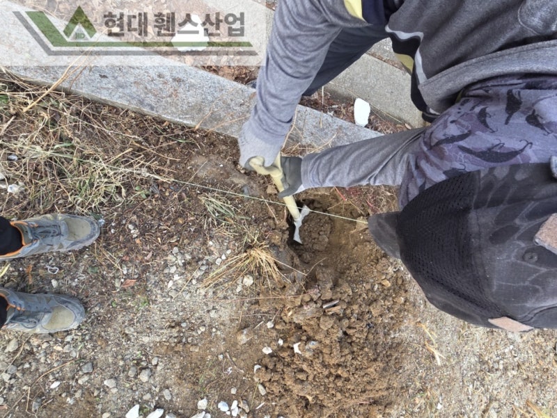 평택휀스 펜스 울타리 - 저번주에 이어 평택 렌터카 회사 부지 경계에 추가로 메쉬휀스를 시공한 현장을 소개합니다. 평택휀스 펜스 울타리 - 저번주에 이어 평택 렌터카 회사 부지 경계에 추가로 메쉬휀스를 시공한 현장을 소개합니다.