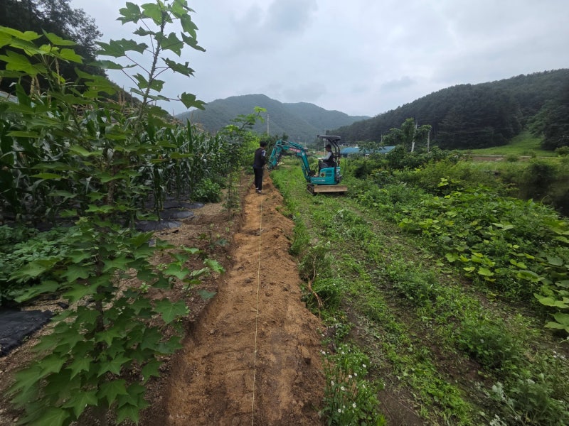 아산휀스 쌍문 대문 설치 메쉬휀스 토공용 영인산 인근 사유지 경계 펜스 시공 아산휀스 쌍문 대문 설치 메쉬휀스 토공용 영인산 인근 사유지 경계 펜스 시공