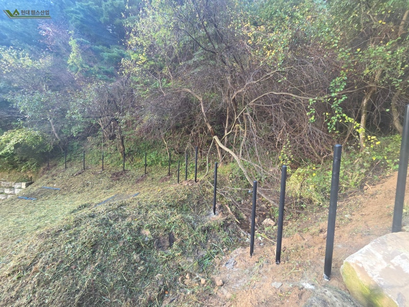 평택펜스 평택시 오성면 숙성리 애견 반려견 메쉬휀스 설치 평택펜스 평택시 오성면 숙성리 애견 반려견 메쉬휀스 설치