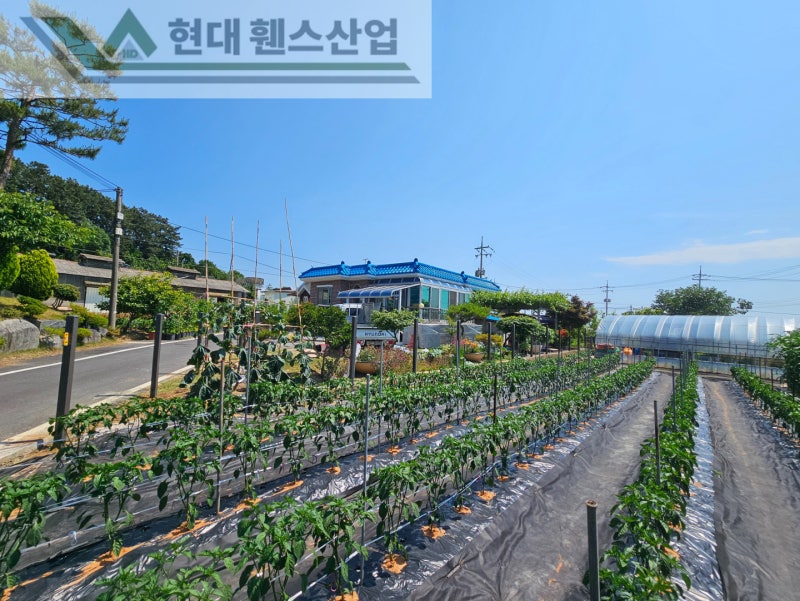 진천휀스 펜스 울타리 - 진천군 문백면에 위치한 작은 시골마을 주택에 심플하지만 고급스러운 베이직 A형휀스를 설치한 현장을 소개합니다. 진천휀스 펜스 울타리 - 진천군 문백면에 위치한 작은 시골마을 주택에 심플하지만 고급스러운 베이직 A형휀스를 설치한 현장을 소개합니다.