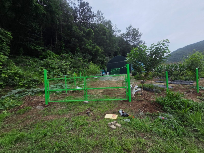 아산휀스 쌍문 대문 설치 메쉬휀스 토공용 영인산 인근 사유지 경계 펜스 시공 아산휀스 쌍문 대문 설치 메쉬휀스 토공용 영인산 인근 사유지 경계 펜스 시공