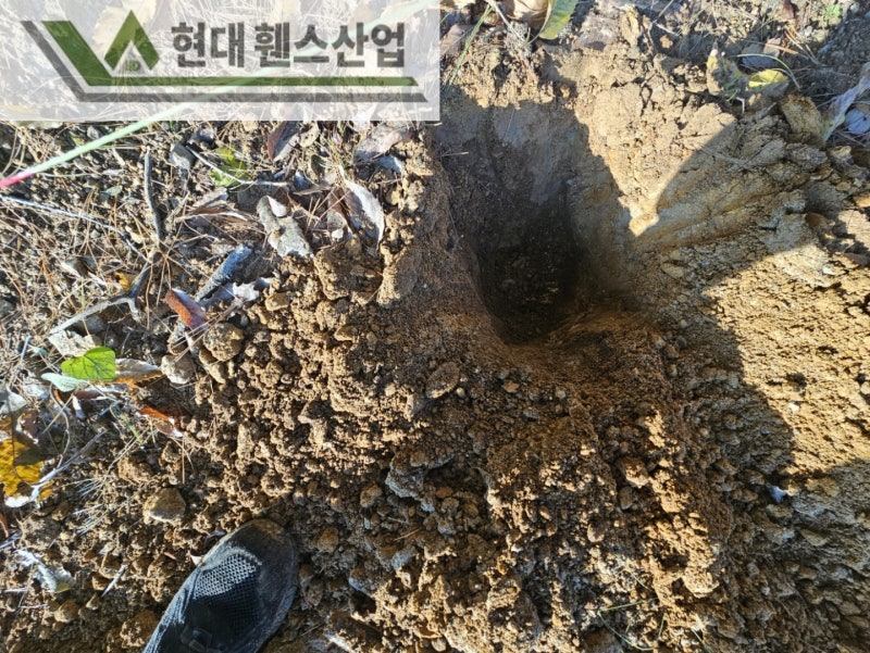 안성휀스 펜스 울타리 - 안성시 아양동에 위치한 나대지에 경계용 메쉬휀스를 시공한 현장을 소개합니다. 안성휀스 펜스 울타리 - 안성시 아양동에 위치한 나대지에 경계용 메쉬휀스를 시공한 현장을 소개합니다.