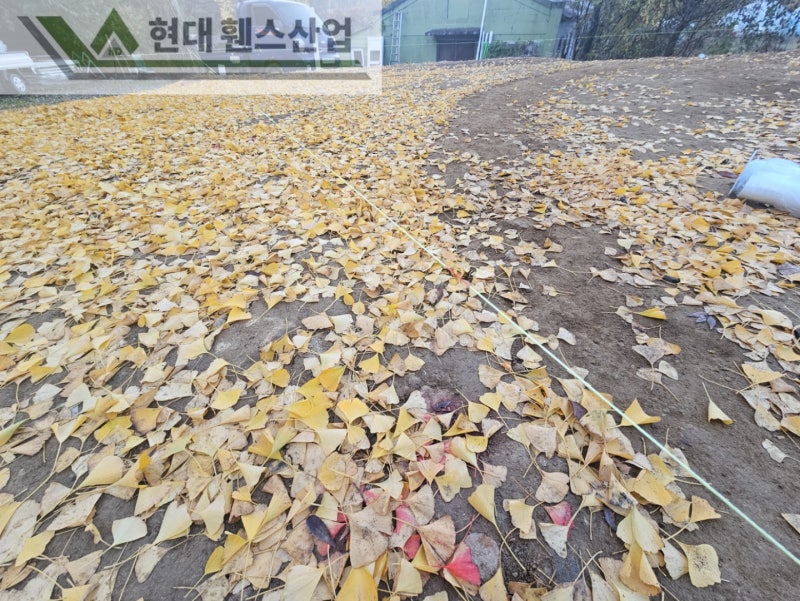 이천휀스 펜스 울타리 - 이천시 부발읍에 위치한 유기견보호소 경계에 메쉬휀스를 시공한 현장을 소개합니다.