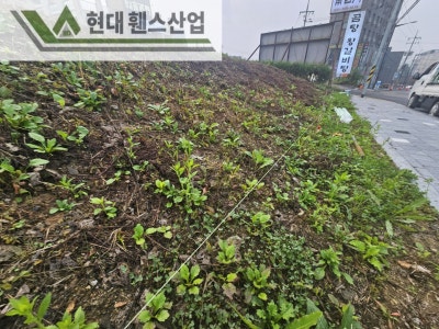천안휀스 펜스 울타리 - 천안시 성성동에 위치한 빈 공터에 경계용 메쉬휀스를 시공한 현장을 소개합니다. 천안휀스 펜스 울타리 - 천안시 성성동에 위치한 빈 공터에 경계용 메쉬휀스를 시공한 현장을 소개합니다.