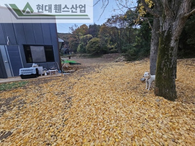 이천휀스 펜스 울타리 - 이천시 부발읍에 위치한 유기견보호소 경계에 메쉬휀스를 시공한 현장을 소개합니다.