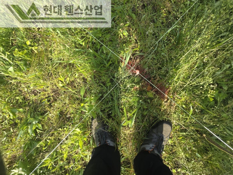 평택휀스 펜스 울타리 - 집 앞 작은 텃밭을 야생동물로부터 보호하기 위한 휀스 평택휀스 펜스 울타리 - 집 앞 작은 텃밭을 야생동물로부터 보호하기 위한 휀스