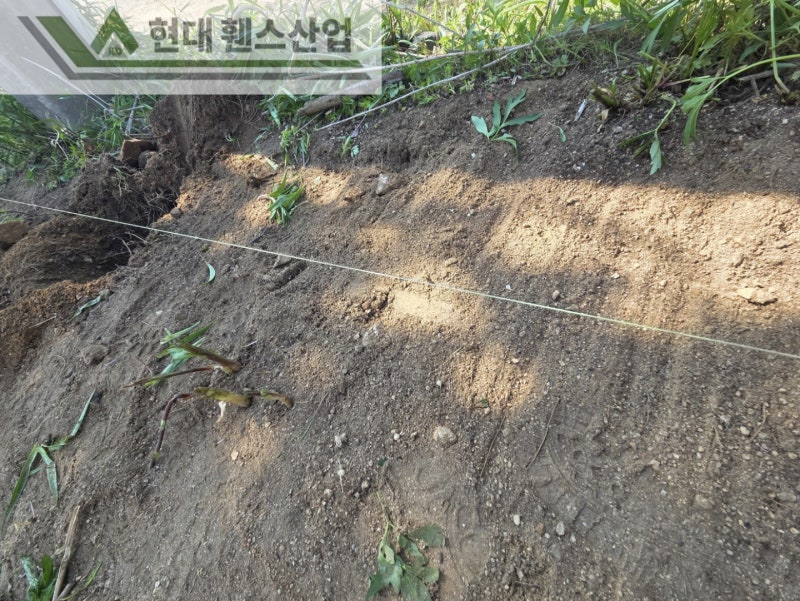 공주휀스 펜스 울타리 - 공주시 유구읍에 위치한 전원주택 경계에 오래된 휀스를 철거하고 새롭게 베이직휀스를 시공한 현장을 소개합니다. 공주휀스 펜스 울타리 - 공주시 유구읍에 위치한 전원주택 경계에 오래된 휀스를 철거하고 새롭게 베이직휀스를 시공한 현장을 소개합니다.
