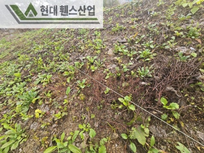 천안휀스 펜스 울타리 - 천안시 성성동에 위치한 빈 공터에 경계용 메쉬휀스를 시공한 현장을 소개합니다. 천안휀스 펜스 울타리 - 천안시 성성동에 위치한 빈 공터에 경계용 메쉬휀스를 시공한 현장을 소개합니다.