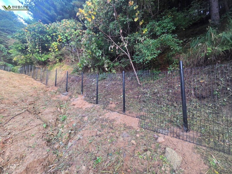 평택펜스 평택시 오성면 숙성리 애견 반려견 메쉬휀스 설치 평택펜스 평택시 오성면 숙성리 애견 반려견 메쉬휀스 설치