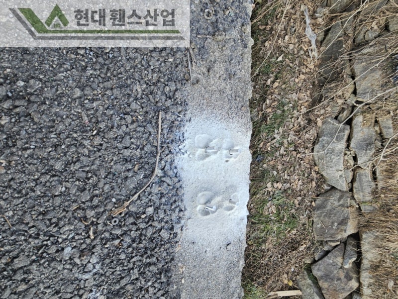 천안휀스 펜스 울타리 - 천안시 직산읍에 위치한 제조 공장 경계에 오래된 메쉬휀스를 철거하고 새로운 메쉬휀스를 시공한 현장을 소개합니다. 천안휀스 펜스 울타리 - 천안시 직산읍에 위치한 제조 공장 경계에 오래된 메쉬휀스를 철거하고 새로운 메쉬휀스를 시공한 현장을 소개합니다.