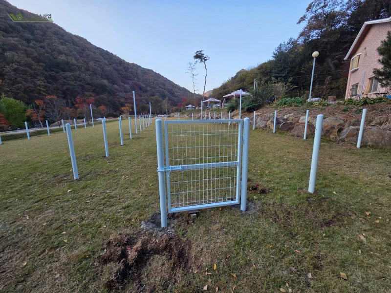 천안휀스 시공 반려견 놀이터용 메쉬휀스 애견펜스 설치 사례