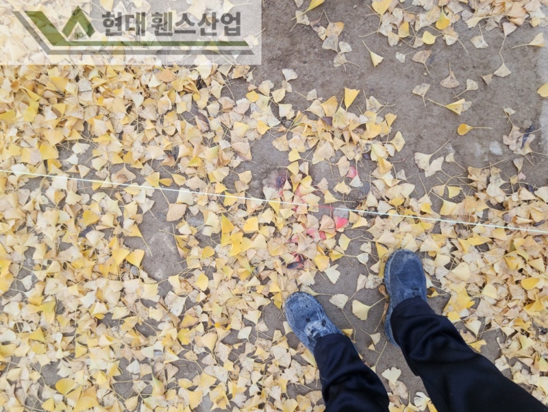 이천휀스 펜스 울타리 - 이천시 부발읍에 위치한 유기견보호소 경계에 메쉬휀스를 시공한 현장을 소개합니다.