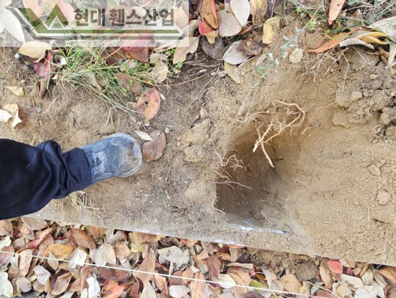 아산휀스 펜스 울타리 - 아산시 배방읍에 위치한 교회 건물 뒤편에 경계용 메쉬휀스를 시공한 현장을 소개합니다.