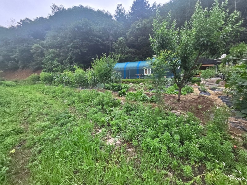 아산휀스 쌍문 대문 설치 메쉬휀스 토공용 영인산 인근 사유지 경계 펜스 시공 아산휀스 쌍문 대문 설치 메쉬휀스 토공용 영인산 인근 사유지 경계 펜스 시공