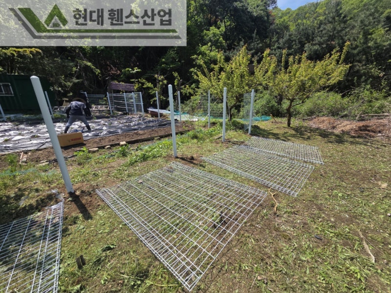 평택휀스 펜스 울타리 - 집 앞 작은 텃밭을 야생동물로부터 보호하기 위한 휀스 평택휀스 펜스 울타리 - 집 앞 작은 텃밭을 야생동물로부터 보호하기 위한 휀스