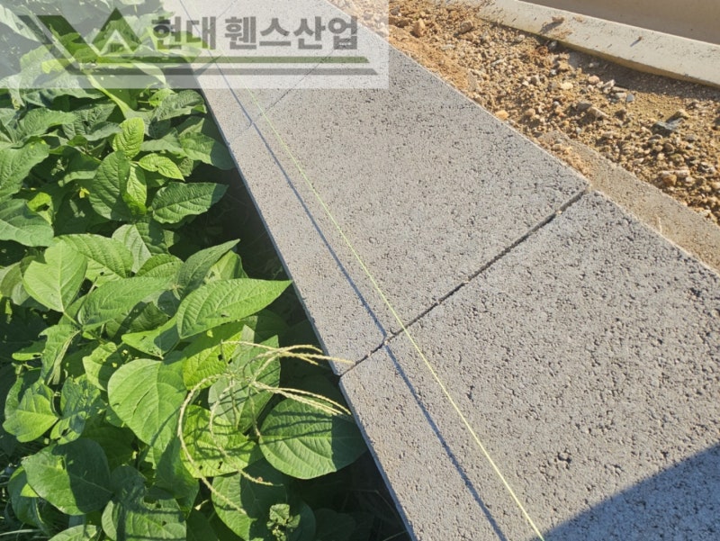 천안휀스 펜스 울타리 - 천안시 성환읍에 위치한 전원 주택에 경계용 메쉬휀스를 시공한 현장을 소개합니다. 천안휀스 펜스 울타리 - 천안시 성환읍에 위치한 전원 주택에 경계용 메쉬휀스를 시공한 현장을 소개합니다.