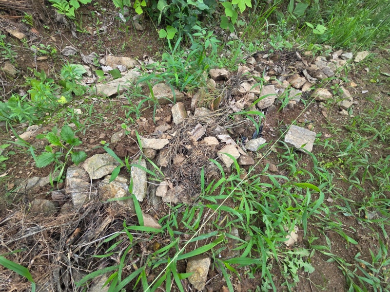 아산휀스 쌍문 대문 설치 메쉬휀스 토공용 영인산 인근 사유지 경계 펜스 시공 아산휀스 쌍문 대문 설치 메쉬휀스 토공용 영인산 인근 사유지 경계 펜스 시공