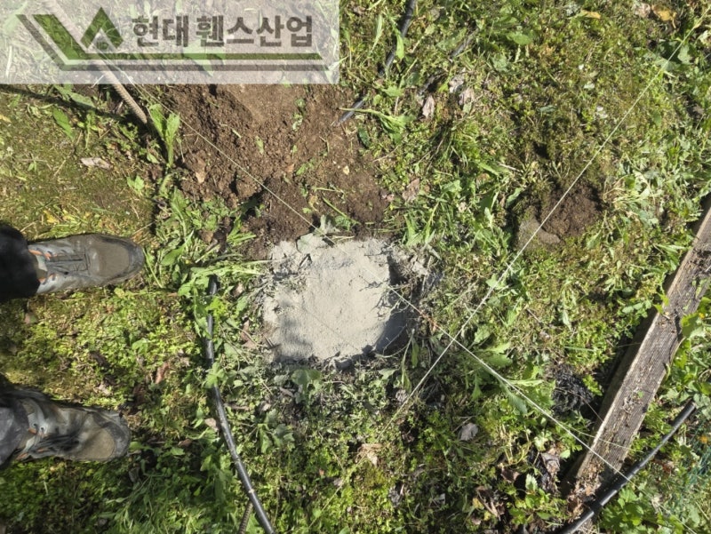 평택휀스 펜스 울타리 - 집 앞 작은 텃밭을 야생동물로부터 보호하기 위한 휀스 평택휀스 펜스 울타리 - 집 앞 작은 텃밭을 야생동물로부터 보호하기 위한 휀스