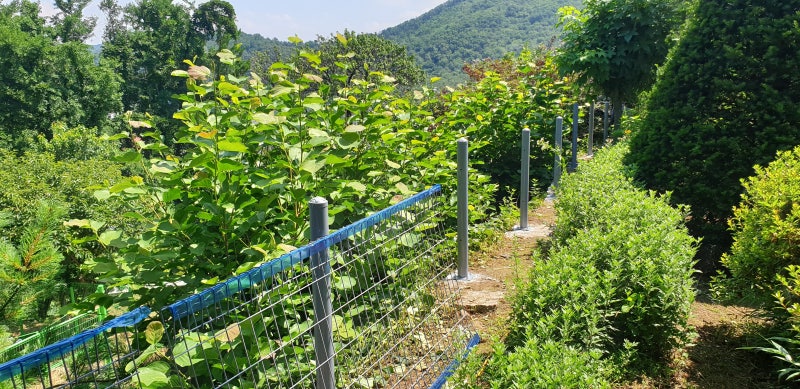 서울 사찰시공 ㅡ 서울 울타리 ㅡ 서울메쉬휀스 시공