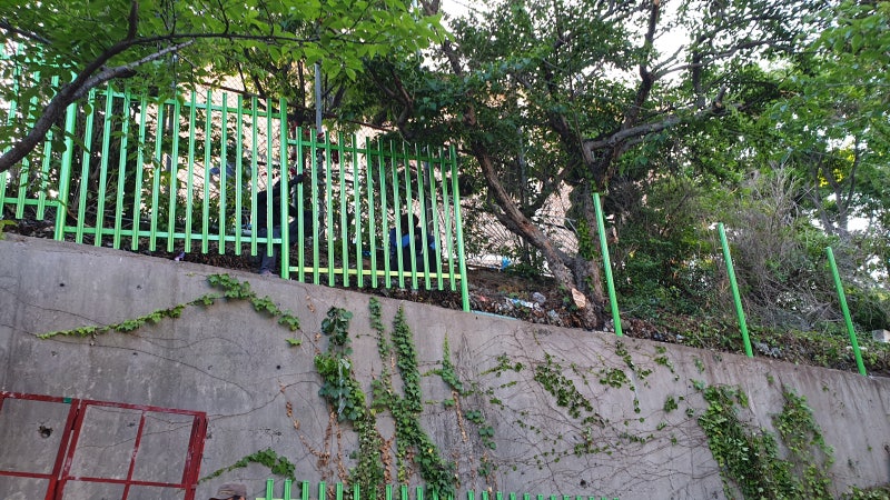울산휀스ㅡ울산 울타리 울산 대성중 종골창살 휀스시공 울산휀스ㅡ울산 울타리 울산 대성중 종골창살 휀스시공