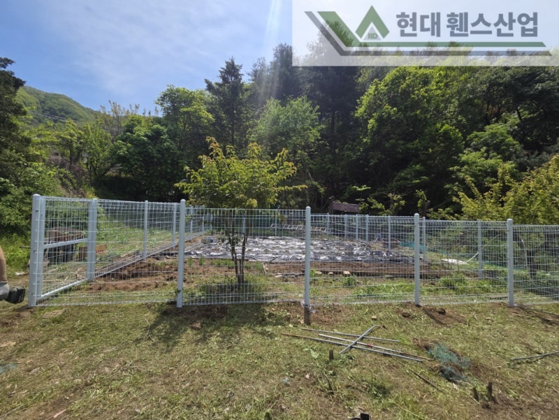 평택휀스 펜스 울타리 - 집 앞 작은 텃밭을 야생동물로부터 보호하기 위한 휀스 평택휀스 펜스 울타리 - 집 앞 작은 텃밭을 야생동물로부터 보호하기 위한 휀스