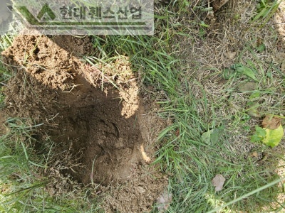 진천휀스 펜스 울타리 - 진천군 문백면에 위치한 전원주택 마당에 반려견의 공간을 위한 메쉬휀스를 시공한 현장을 소개합니다. 진천휀스 펜스 울타리 - 진천군 문백면에 위치한 전원주택 마당에 반려견의 공간을 위한 메쉬휀스를 시공한 현장을 소개합니다.