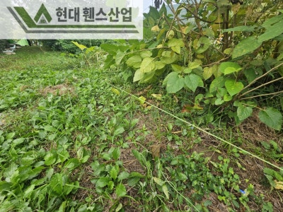 천안휀스 펜스 울타리 - 천안시 목천읍에 있는 작은 초등학교에 경계용 메쉬휀스를 시공한 현장을 소개합니다.