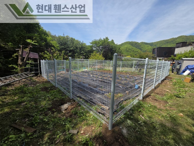 평택휀스 펜스 울타리 - 집 앞 작은 텃밭을 야생동물로부터 보호하기 위한 휀스 평택휀스 펜스 울타리 - 집 앞 작은 텃밭을 야생동물로부터 보호하기 위한 휀스