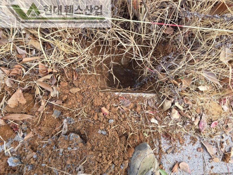 제천휀스 펜스 울타리 - 제천군 세무서 경계에 베이직C형휀스를 시공한 현장을 소개합니다.