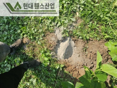천안휀스 펜스 울타리 - 천안시 목천읍에 있는 작은 초등학교에 경계용 메쉬휀스를 시공한 현장을 소개합니다.