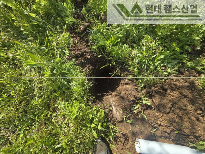 평택휀스 펜스 울타리 - 집 앞 작은 텃밭을 야생동물로부터 보호하기 위한 휀스 평택휀스 펜스 울타리 - 집 앞 작은 텃밭을 야생동물로부터 보호하기 위한 휀스