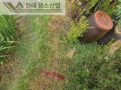 천안휀스 펜스 울타리 - 천안시 동남구에 위치한 작은 시골집 마당에 베이직 휀스를 시공한 현장을 소개합니다.