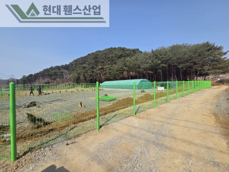 강화도휀스 펜스 울타리 - 강화도에 위치한 개인 소유지 경계에 메쉬휀스를 시공한 현장을 소개합니다.