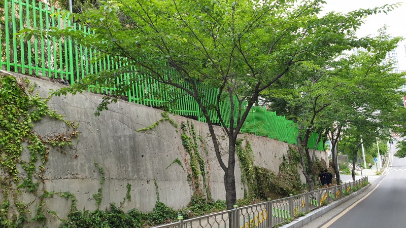 울산휀스ㅡ울산 울타리 울산 대성중 종골창살 휀스시공 울산휀스ㅡ울산 울타리 울산 대성중 종골창살 휀스시공