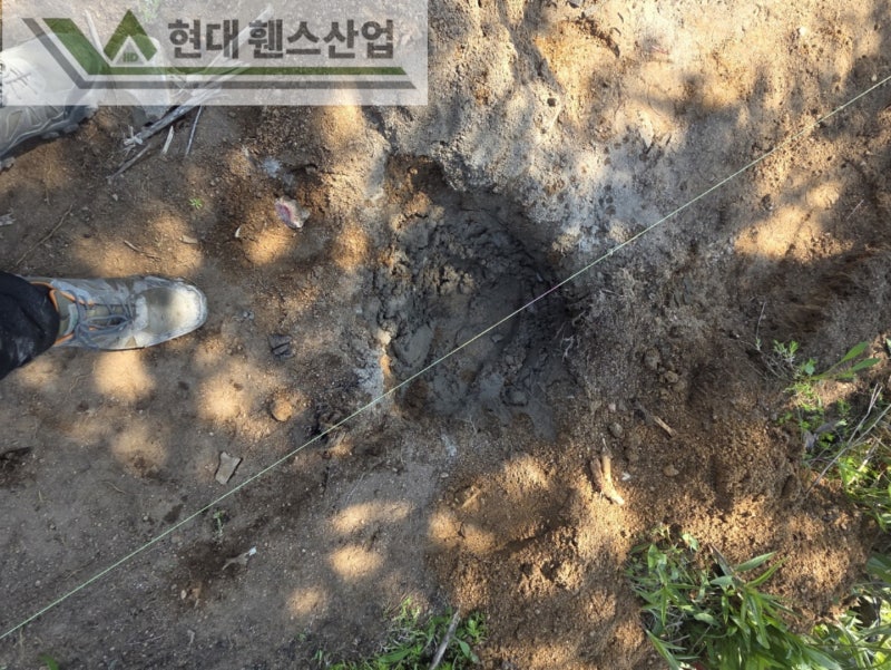 공주휀스 펜스 울타리 - 공주시 유구읍에 위치한 전원주택 경계에 오래된 휀스를 철거하고 새롭게 베이직휀스를 시공한 현장을 소개합니다. 공주휀스 펜스 울타리 - 공주시 유구읍에 위치한 전원주택 경계에 오래된 휀스를 철거하고 새롭게 베이직휀스를 시공한 현장을 소개합니다.